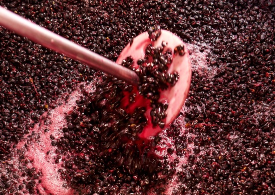 Wine