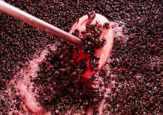 Wine