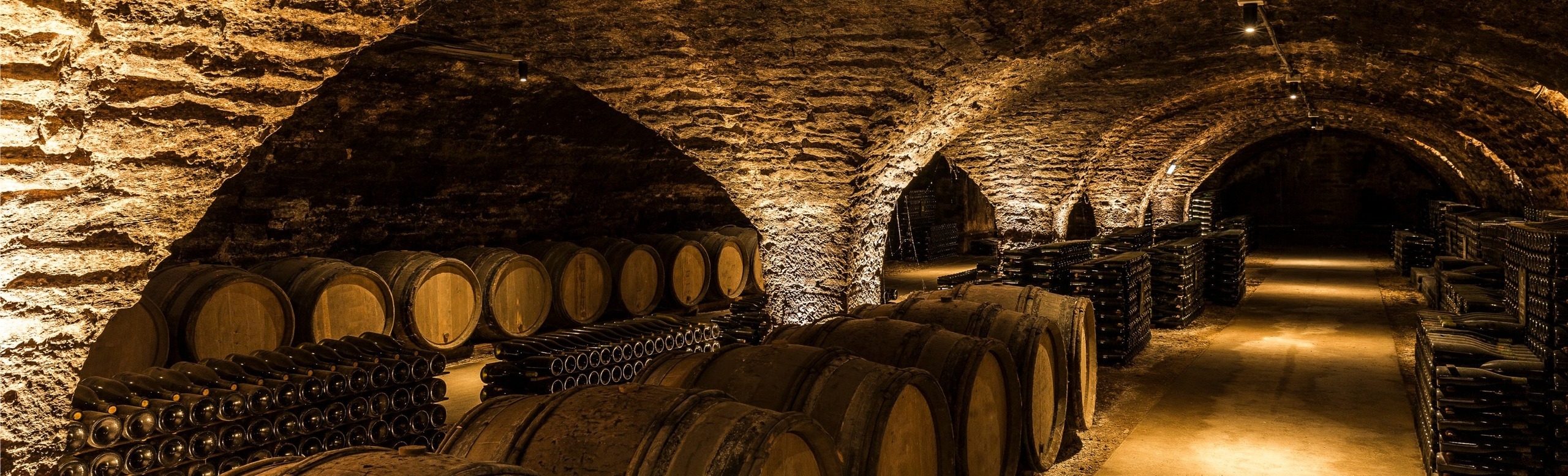 Chateau La Fleur de Bouard - Lalande de Pomerol, France Cabernet franc - cabernet sauvignon Banner